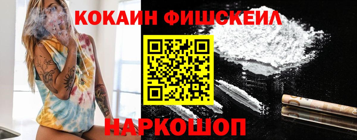 COCAIN Fish Scale  Вход с VPN  Cocaine Columbia  Ялта 
