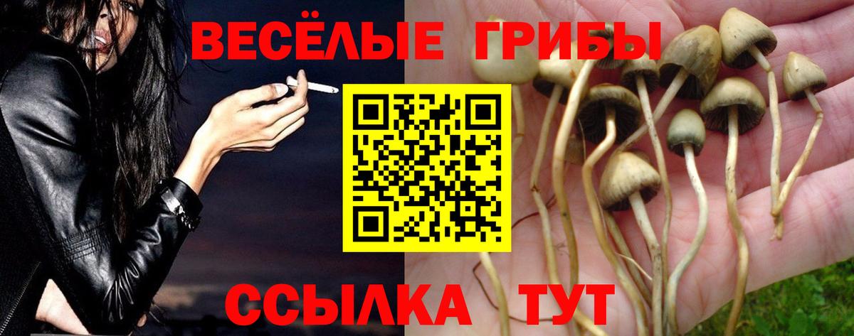 Галлюциногенные грибы GOLDEN TEACHER  Вход с VPN  Ялта 